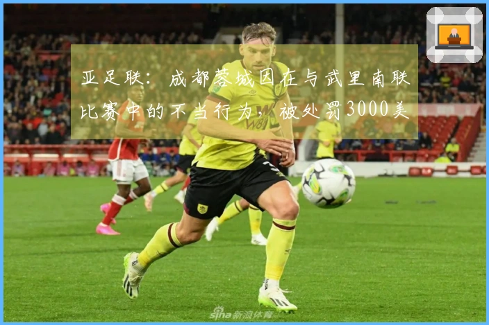 亚足联：成都蓉城因在与武里南联比赛中的不当行为，被处罚3000美元