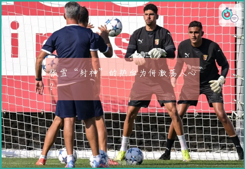 张雪“封神”的热血为何激荡人心？