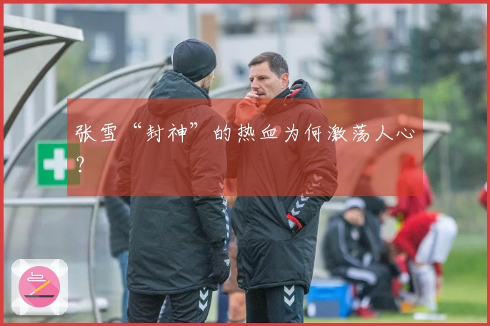 张雪“封神”的热血为何激荡人心？