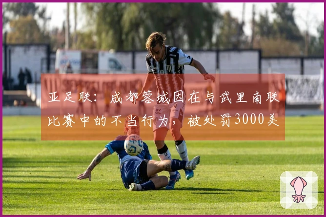 亚足联：成都蓉城因在与武里南联比赛中的不当行为，被处罚3000美元